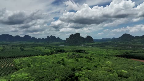 Plantación-Agrícola-Contra-El-Cielo-Nublado-Cerca-De-Amphoe-Mueang-Krabi,-Tailandia---Toma-Aérea-De-Drones