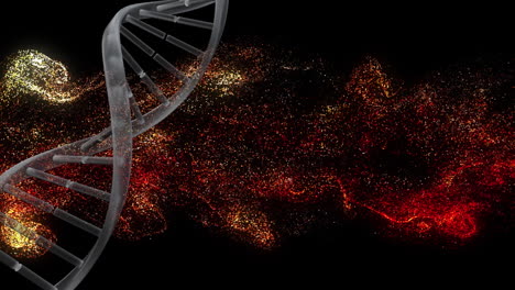 animation of spinning dna structure, red and yellow digital waves against black background