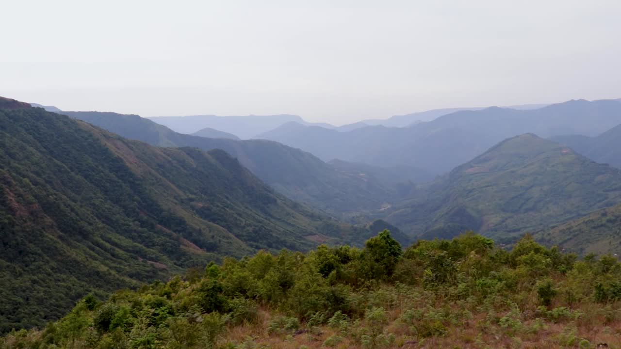 valle de montaña cubierto de bosques verdes y nieblas por la mañana desde un ángulo plano