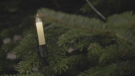 electric candle on the branch of a christmas tree, blurred to sharp