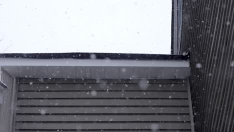 slow motion snowfall, close up of a roof, cold winter day with small snowflakes, grey sky, static, copy space