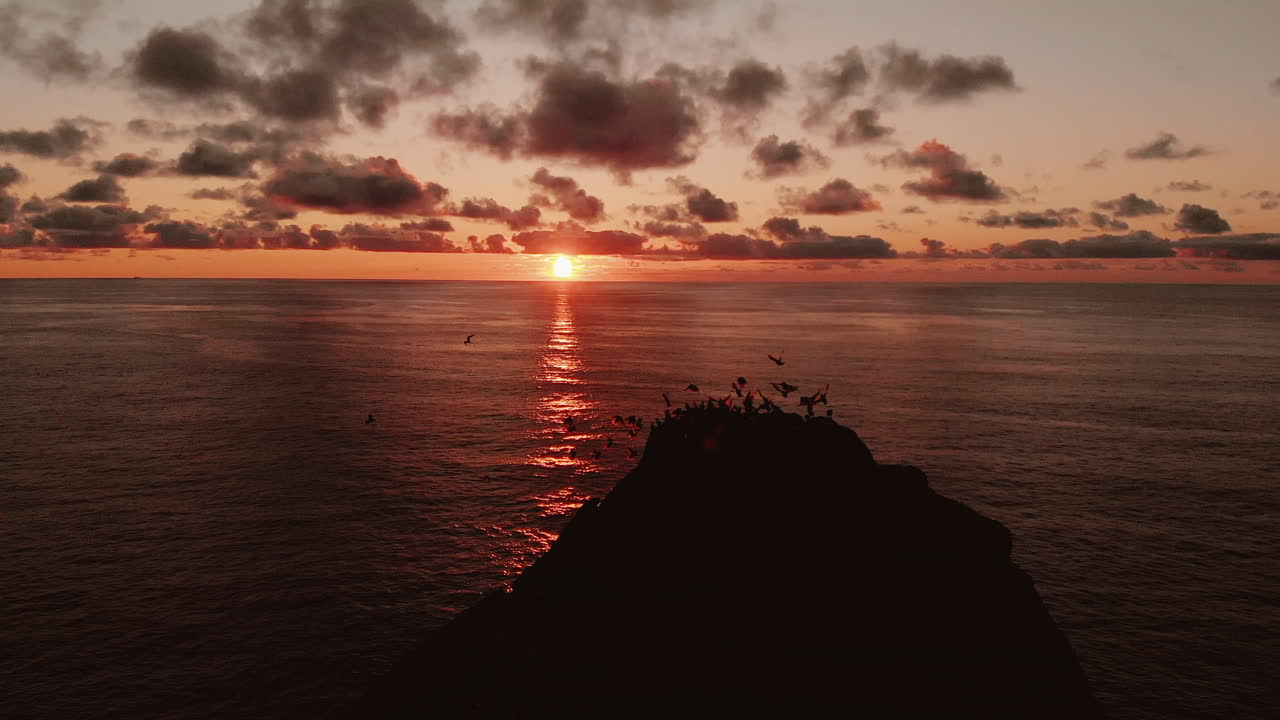 Solnedgang over havklint med fugle