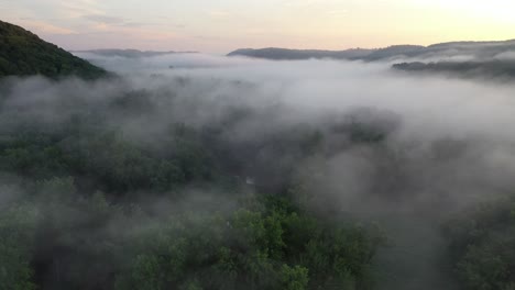 misty forest valley at sunrise