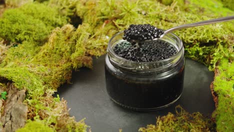 black caviar in a glass jar on moss