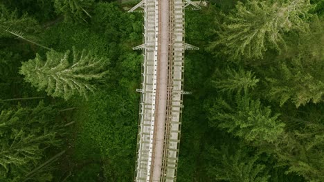 rising aerial shot over ziemes valley bridge surrounded by a lush forest