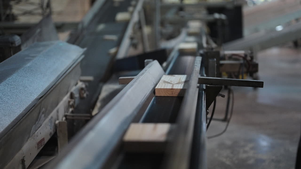 Cut planks moving along automated conveyor in active wood processing plant interior, rejects pushed away onto sorting belt