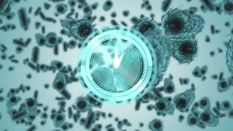 animación de reloj y escaneo de alcance sobre covid-19 y células sanguíneas