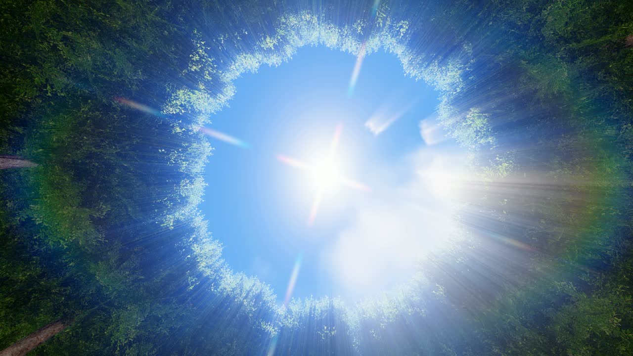 신은 원 나무를 통해 광선을 발사합니다.