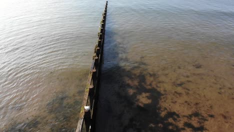 aerial over wooden groyne at dawlish warren beach with waves rolling in