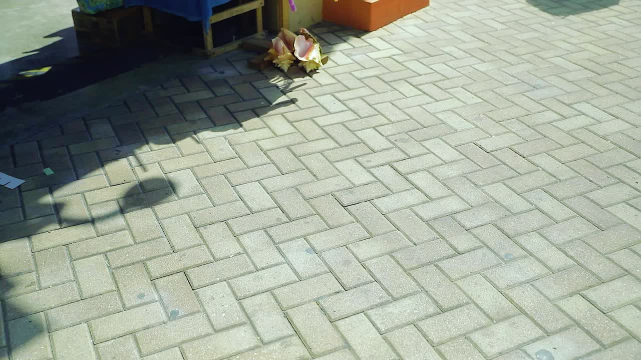 Tourists walking on brick street in Nassau Bahamas near cruise port during sunny Caribbean vacation day