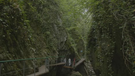 wooden bridge hiking trail in a canyon