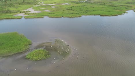 This-is-a-aerial-video-over-East-End-Lagoon-Preserve