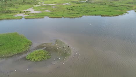 this is a aerial video over east end lagoon preserve