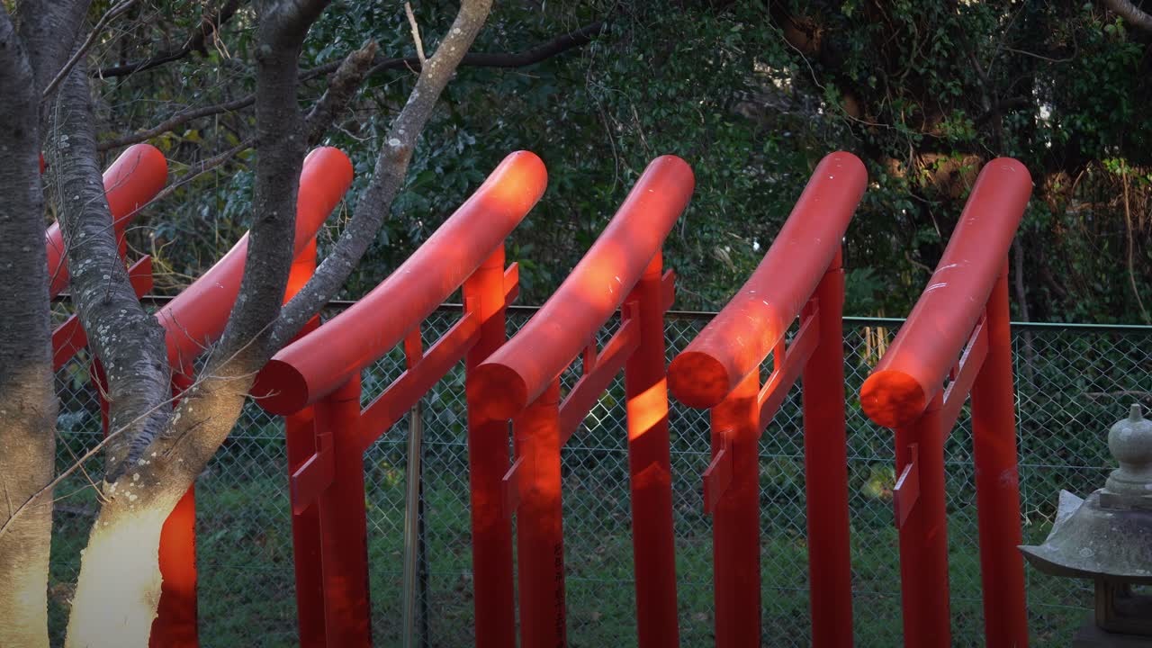 A Row of Red Torii Gates