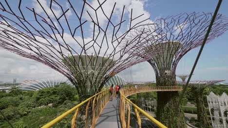 super trees in singapore on suspension bridge tilting up towards sky