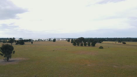 drone aerial rising above an empty australian field on a cloudy day