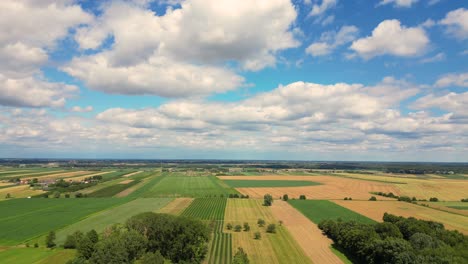 fotografía aérea de un campo agrícola