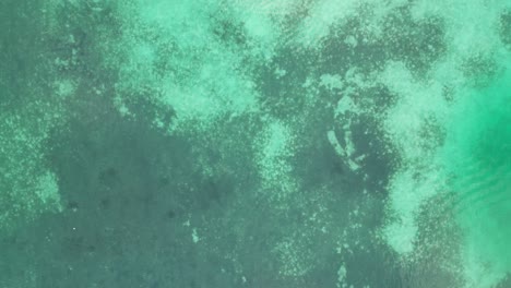 drone view in belize flying over caribbean dark and light blue sea top view shallow water coral reef