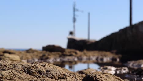 Blurry-background-of-tide-pools