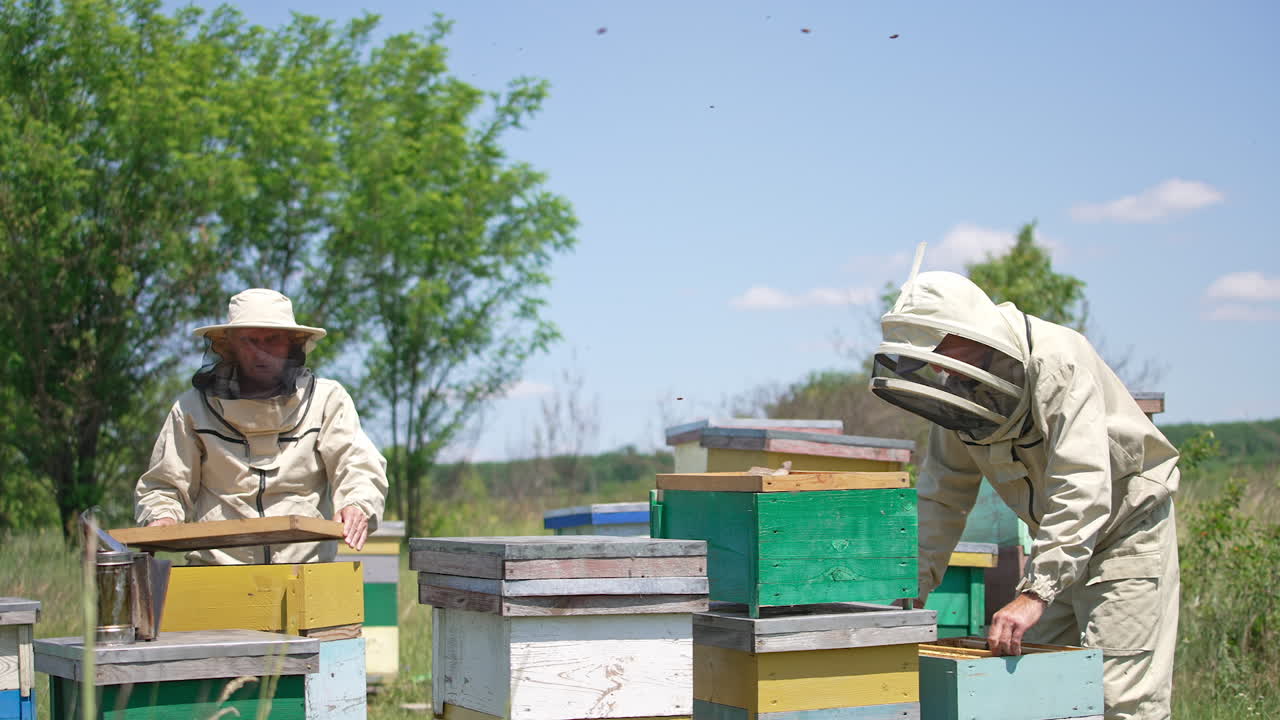 Little apiary in the rural area with two men working there. Two beekeepers checking up the frames. Nature backdrop in blur.
