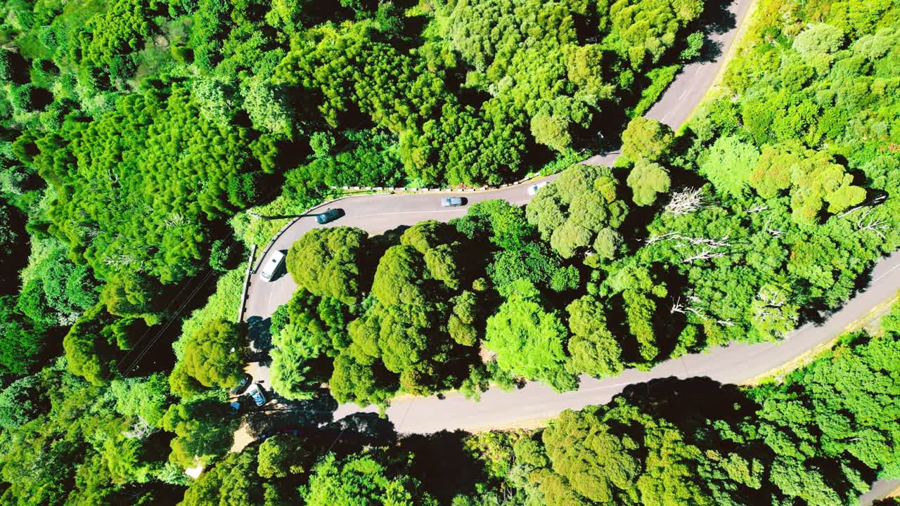 옆면에 푸른 숲이 있는 바람 부는 길을 달리는 자동차들의 머리 위로