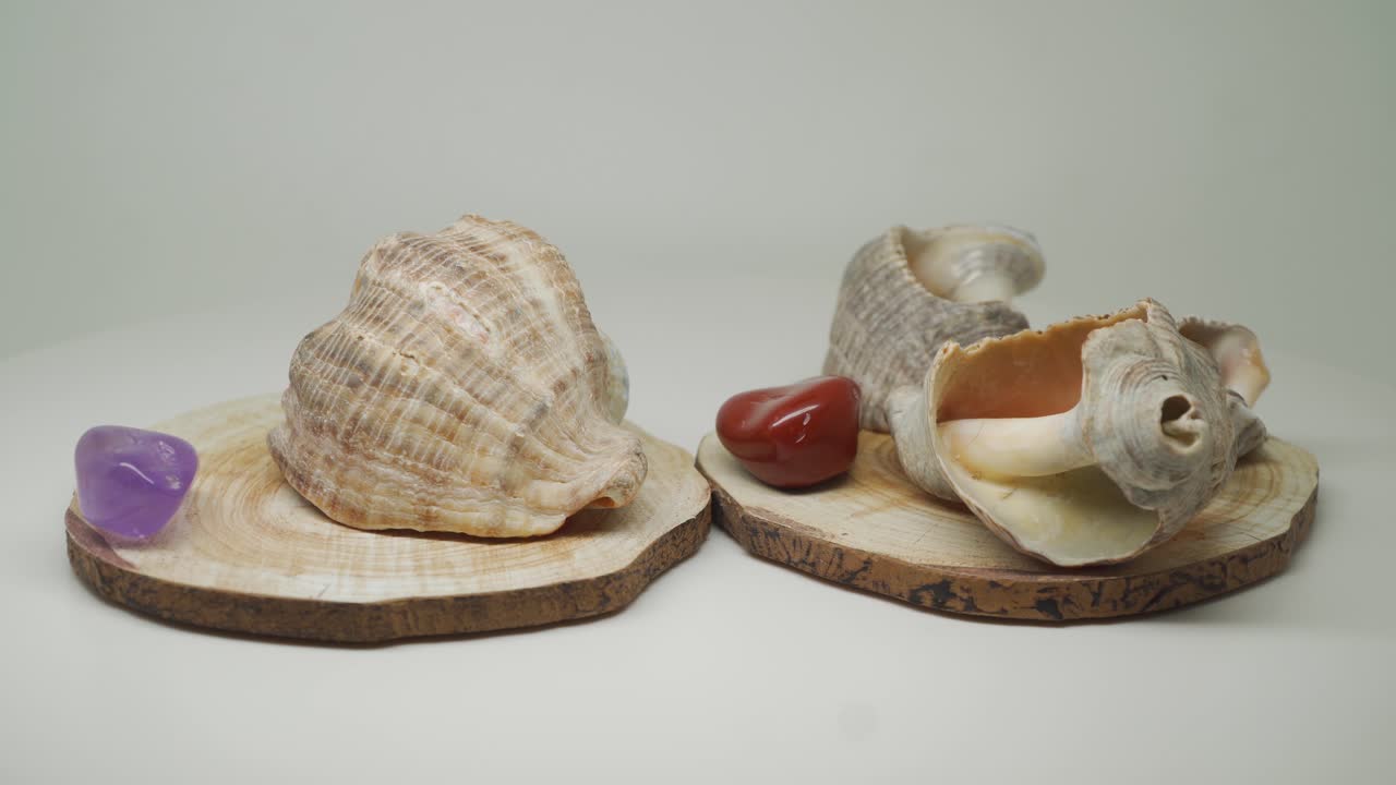 conchas marinas y pequeñas piedras preciosas moradas y rojas encima de una artesanía de madera, girando en el sentido de las agujas del reloj con fondo blanco puro - primer plano