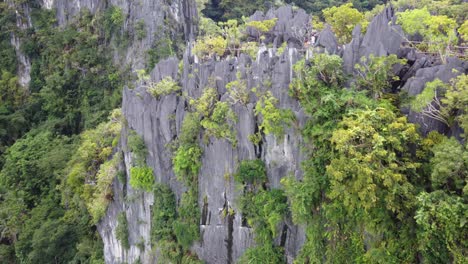 Touristische-Wanderer-Genießen-Die-Aussicht-Von-Der-Taraw-Klippe-El-Nido-Canopy-Walk,-Palawan,-Philippinen