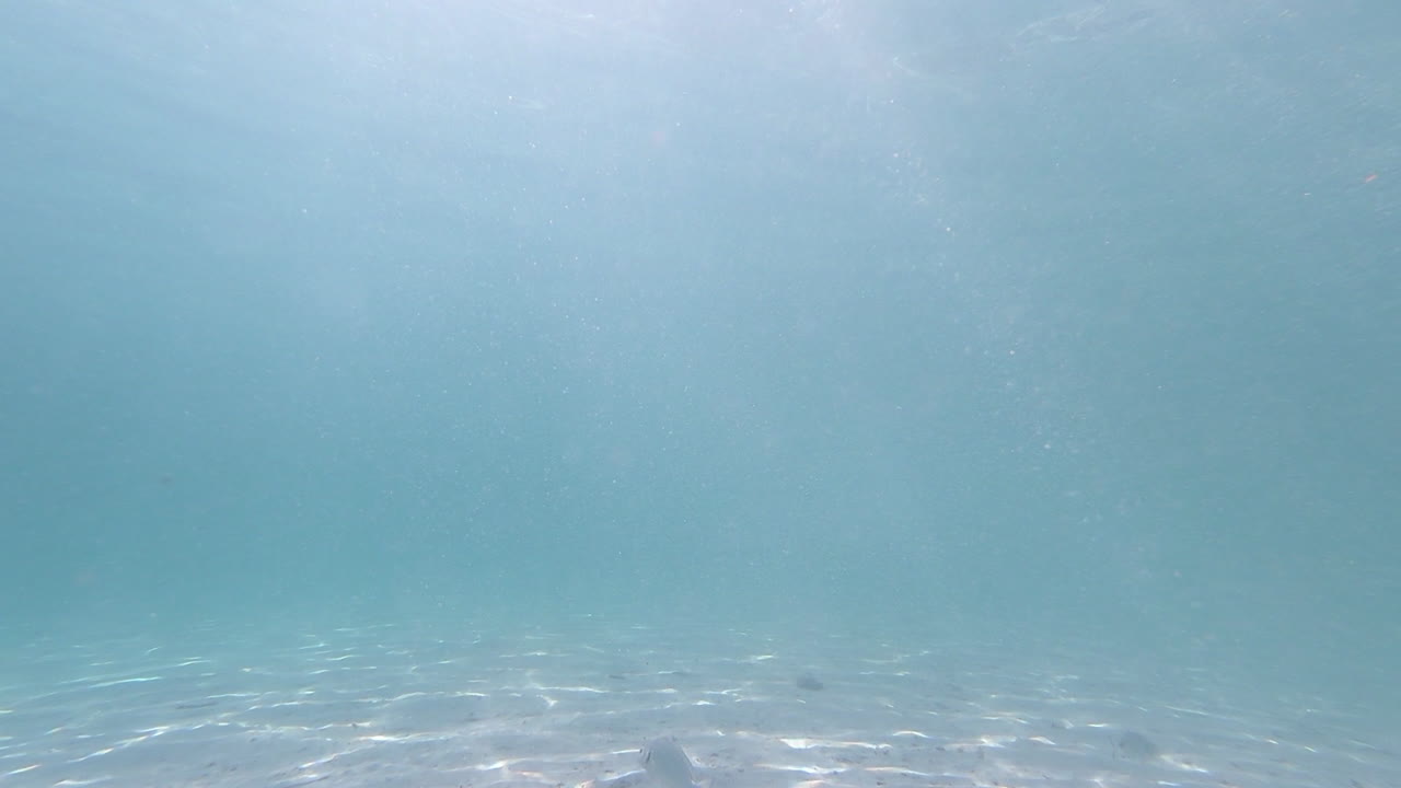 언더워터필름-1