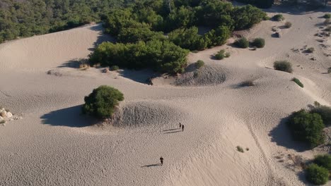 stunning drone video reveals vast sandy dunes with scattered greenery at bolton abbey. capturing sunlit textures, this breathtaking landscape features dynamic shadows and rich natural beauty