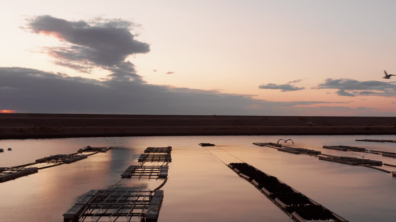 네덜란드 닐체 잔스 섬의 일몰 동안 풍력 터빈과 양식업