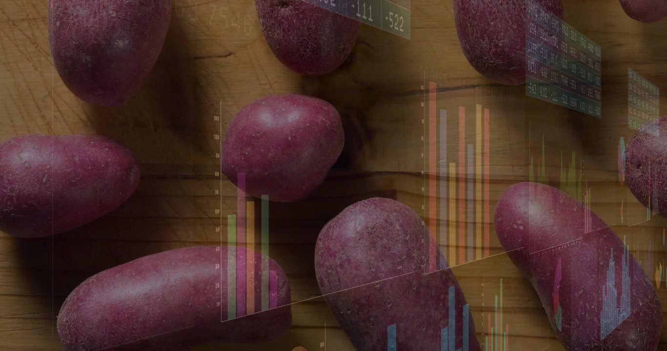 Projection starting charts sweeping over purple tubers, bars rising and sliding to show analytics