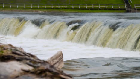 saltos de peces en kuldiga en letonia