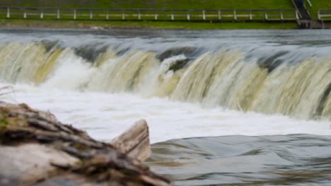 fish jumps in kuldiga in latvia