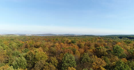 Fliegen-über-Waldbäume-Natur-Luftaufnahmen-4