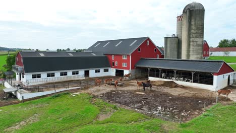 horses at american farm with barns and silos