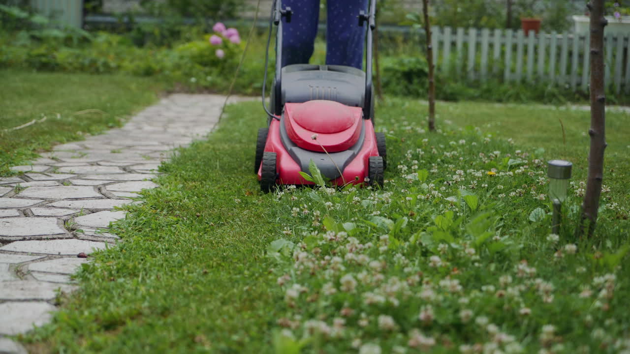 woman cutting grass in his yard with corded electric lawn mower.