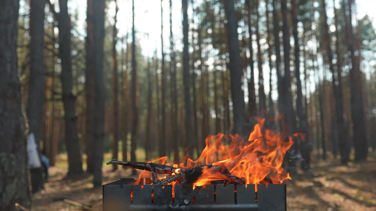 숲 속 의 캠프 불