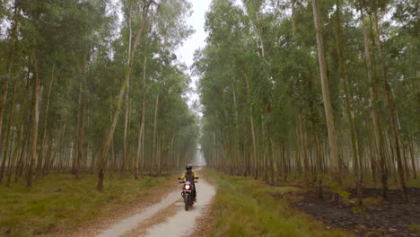 el tiro heroico del dron captura a un hombre montando una motocicleta dentro del denso bosque de la región de terai, nepal.