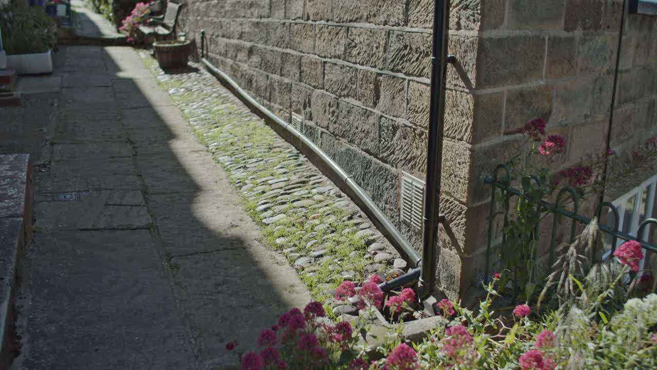 로빈 후드 베이 빌리지, 노스 요크셔, 노스 요크 황무지 유산 해안 clip30