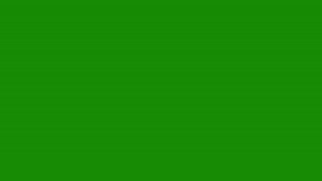indian decorative mandala design on green background