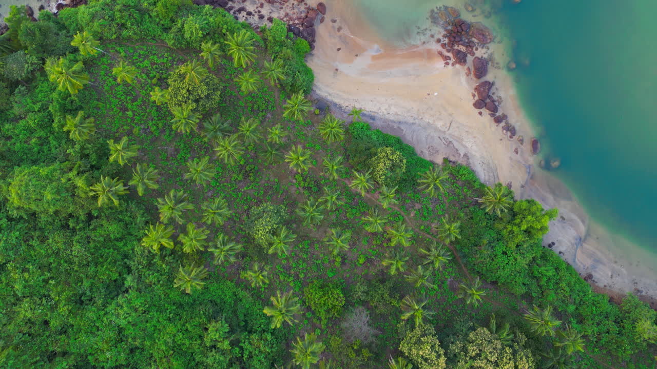 hermosa toma aérea de un dron de la playa de galgibaga en un bosque exótico tropical goa india
