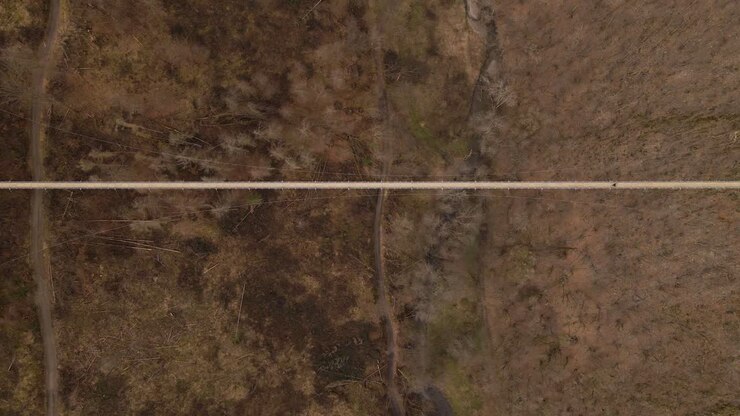 One person walking over a long, expansive suspension bridge above a brown leafless forest