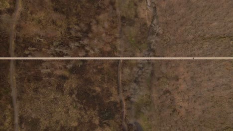 una persona caminando sobre un largo y extenso puente colgante sobre un bosque marrón sin hojas