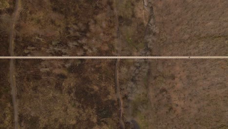 one person walking over a long, expansive suspension bridge above a brown leafless forest