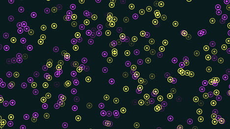 atractivo patrón de puntos púrpura y amarillo sobre fondo negro