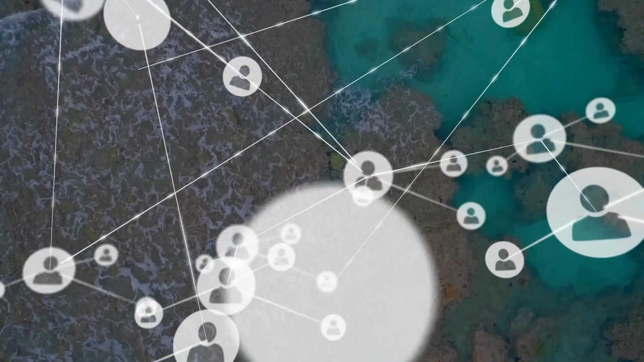 User-avatar network growing over reef after initial avatar spawn upper right, connecting tech hubs