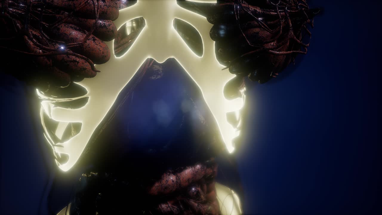 cuerpo humano con huesos esqueléticos visibles