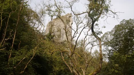 disparo de roca de ilam a través de los árboles en dovedale