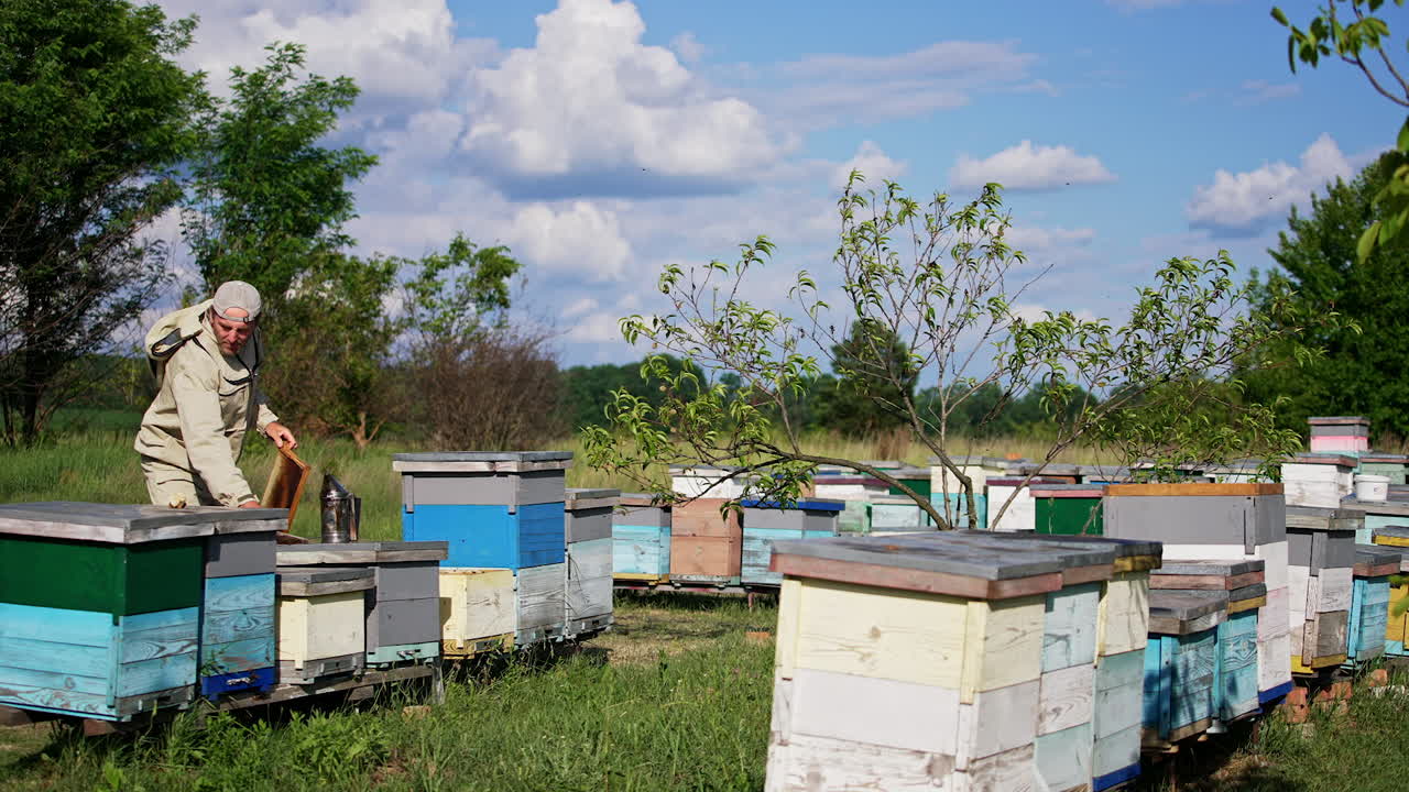 Adult male beekeeper working at his rural organic bee farm. Man using apiculture instruments in his work. Nature background.