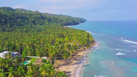 lot nad tropikalnym wybrzeżem z złotą plażą, niebieskim morzem karaibów, hotelem i plantacją palm podczas słońca - playa coson, republika dominikańska